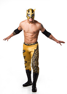 Lince Dorado